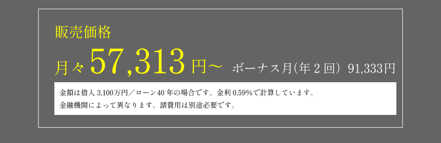 販売価格 月々57,313円～ボーナス月（年２回）91,333円