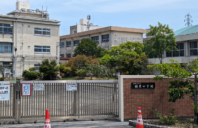 楠見小学校 徒歩15分