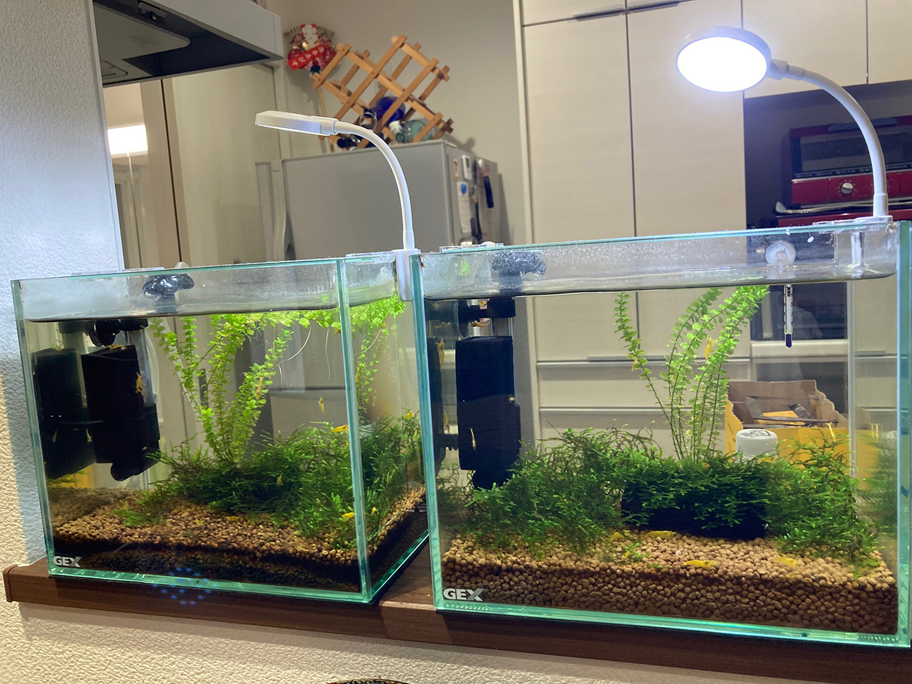 長く住んだからこそ実感！ 全館空調の家 リアルな住み心地インタビュー6